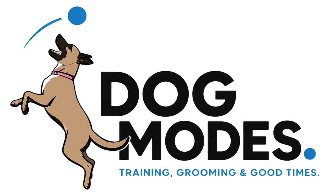 Dog Modes